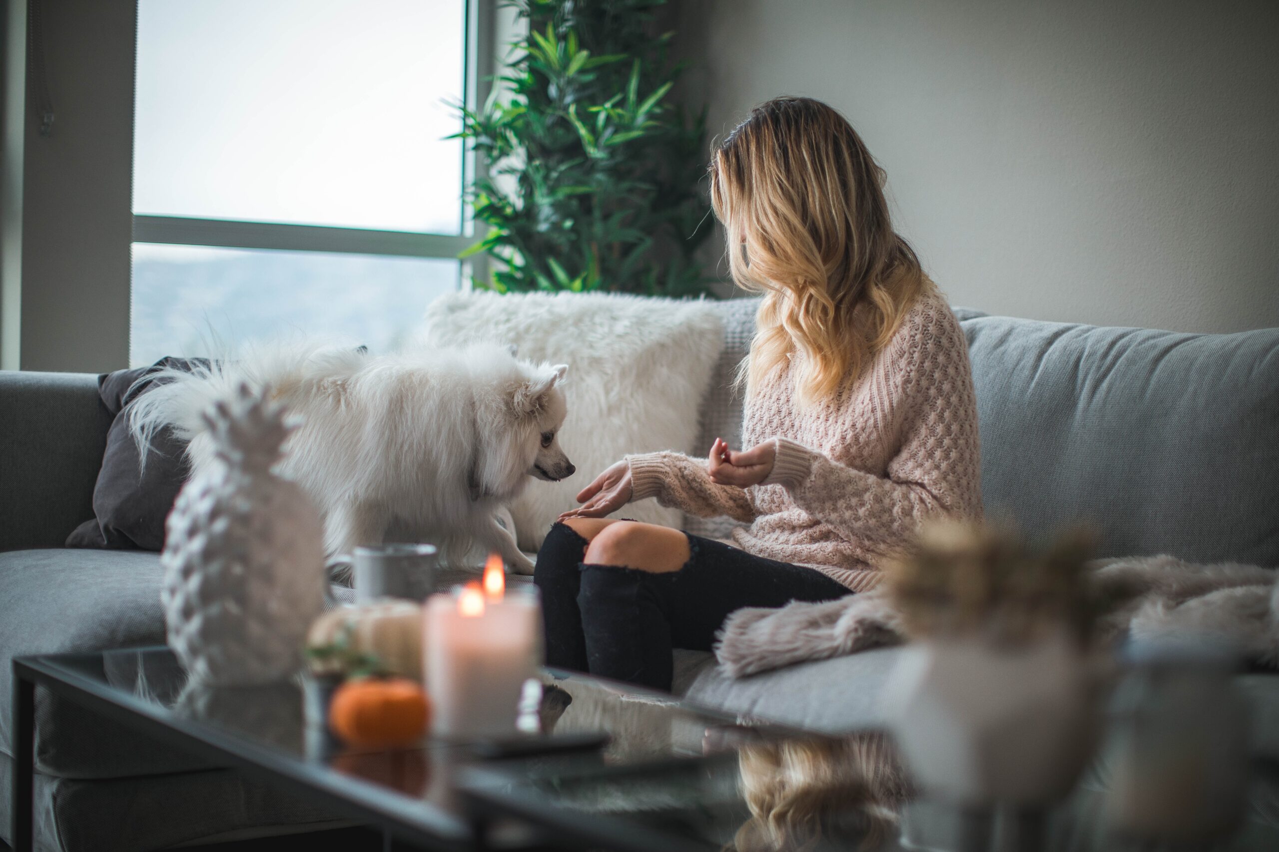 homeowner sitting on coach, snowy day, enjoying a quiet moment