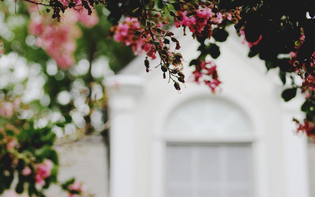Spring Tips for your home